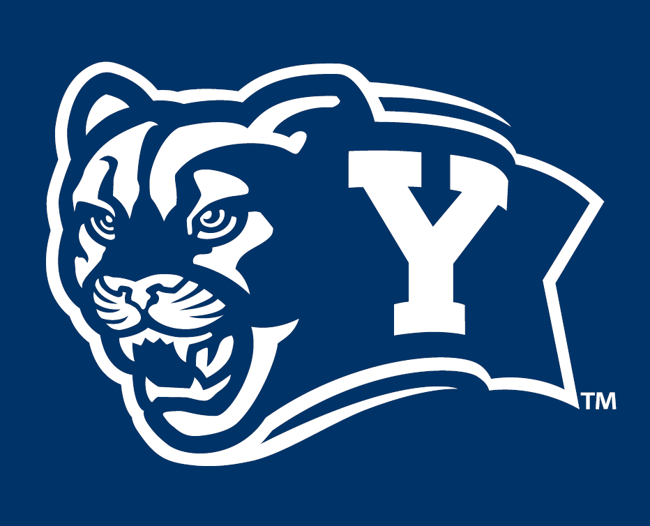 Brigham Young Cougars 2005-Pres Alternate Logo t shirts iron on transfers v7